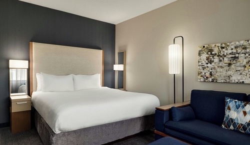 Room, 1 King Bed with Sofa bed (Hearing Accessible)