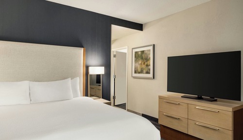 Suite, 1 King Bed with Sofa bed (Hearing Accessible)