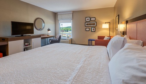 Suite, 1 King Bed, Bathtub