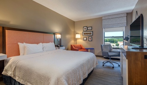 Room, 1 King Bed, Accessible, Bathtub (Mobility & Hearing)