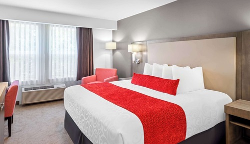 Standard Room, 1 Queen Bed, Accessible, Non Smoking