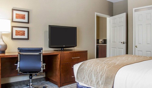 Business Studio Suite, 1 King Bed, Non Smoking