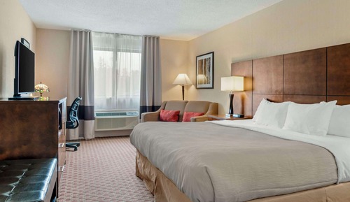 Business Room, 1 King Bed, Non Smoking