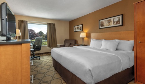 Room, 1 King Bed, Non Smoking