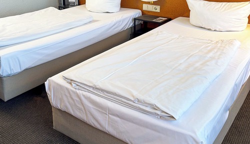 Economy Twin Room