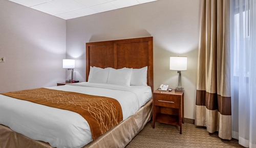 Room, 1 King Bed, Accessible, Non Smoking (Roll-In Shower)