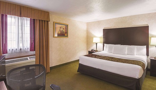 Room, 1 King Bed, Non Smoking