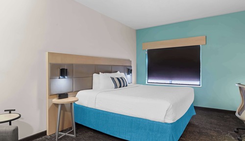 Standard Room, 1 King Bed, Accessible, Refrigerator & Microwave (Walk-in Shower)