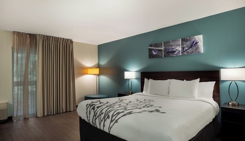 Room, 1 King Bed, Non Smoking