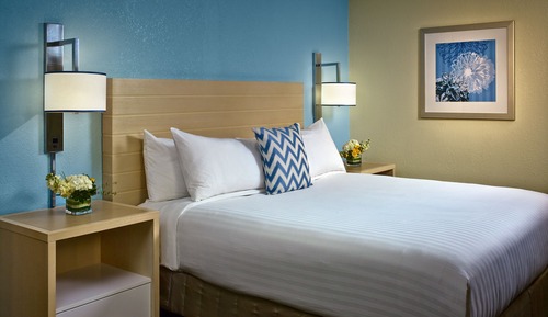 Studio Suite, 1 King Bed
