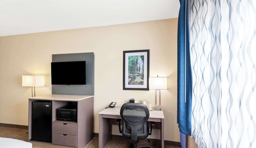 Room, 1 Queen Bed, Accessible, Non Smoking (Roll-In Shower)