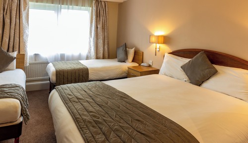 Standard Double Room