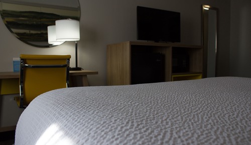 Room, 1 King Bed, Non Smoking (Pet-Friendly)
