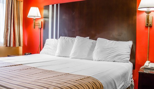 Standard Room, 1 King Bed, Smoking