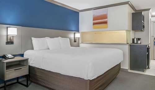 Standard Room, 1 King Bed with Sofa bed, Non Smoking