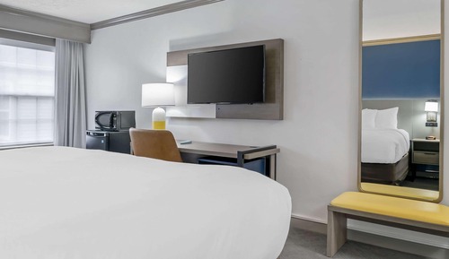 Standard Room, 1 King Bed, Non Smoking