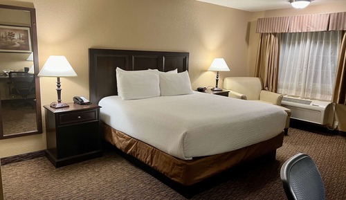 Standard Room, 1 King Bed, Accessible, Non Smoking (Walk-in Shower)