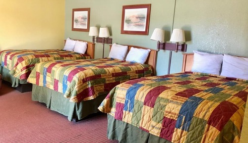 Economy Single Room, Multiple Beds, Non Smoking, Refrigerator & Microwave