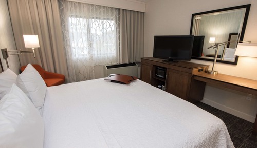 Room, 1 King Bed, Accessible (Hearing)