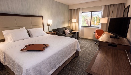 Room, 1 King Bed with Sofa bed