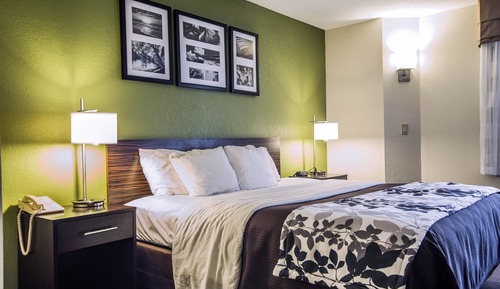 Standard Room, 1 King Bed, Non Smoking