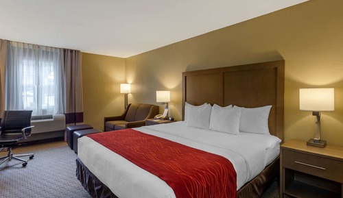 Standard Room, 1 King Bed, Non Smoking