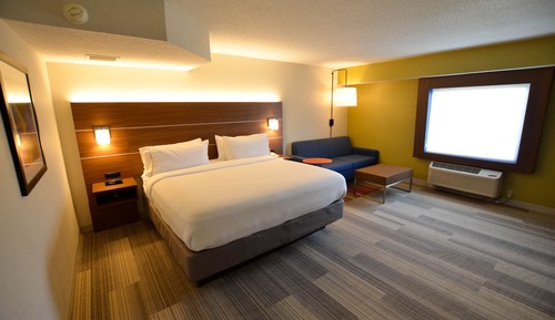 Suite, 1 King Bed with Sofa bed