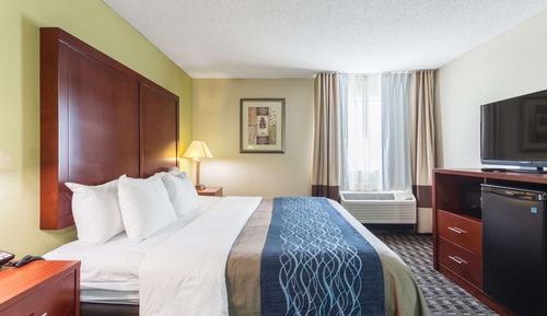 Standard Room, 1 King Bed, Non Smoking