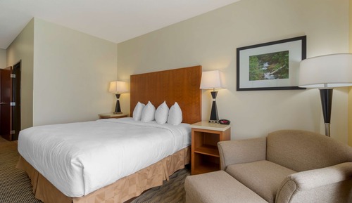 Standard Room, 1 Queen Bed, Accessible, Bathtub