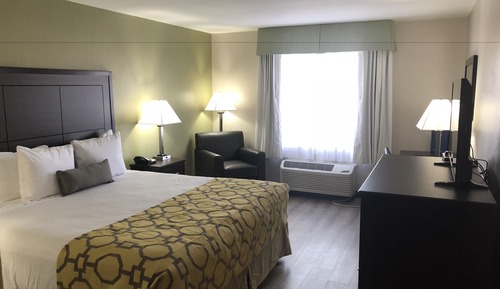 Room, 1 King Bed, Non Smoking