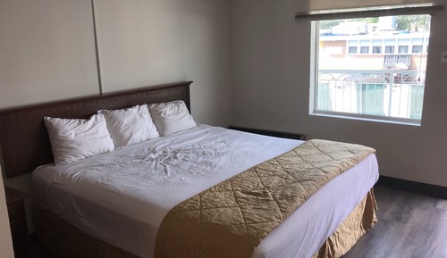 Room, 1 King Bed, Smoking