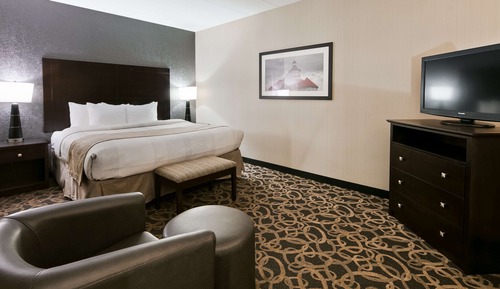 Business Room, 1 King Bed, Non Smoking