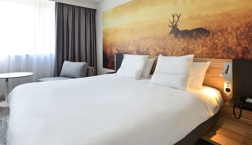 Superior Room, 1 King Bed with Sofa bed