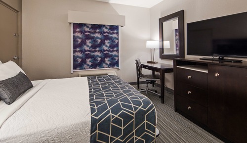 Standard Room, 1 Queen Bed, Accessible, Refrigerator & Microwave