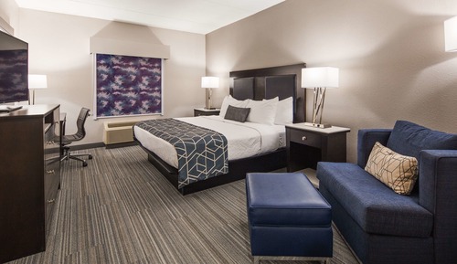 Standard Room, 1 King Bed, Non Smoking, Refrigerator & Microwave (Shower Only)