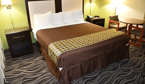 Room, 1 King Bed