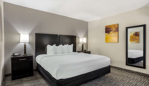 Standard Room, 1 King Bed, Non Smoking, Refrigerator & Microwave