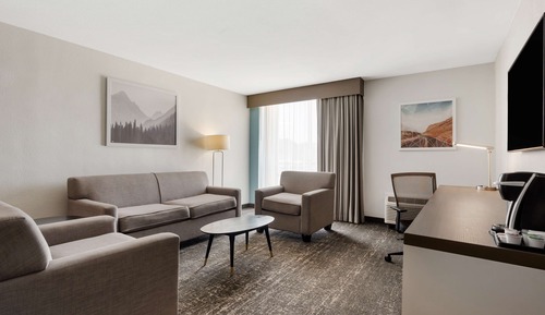 Suite, 1 King Bed, Non Smoking, Refrigerator & Microwave (with Sofabed)