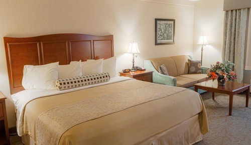 Standard Room, 1 King Bed, Accessible, Non Smoking (with Sofabed)