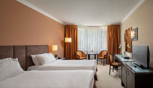 Superior Twin Room