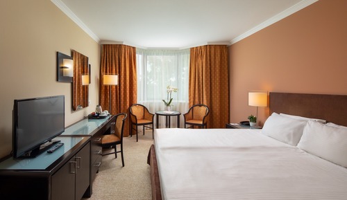 Superior Room, 1 King Bed