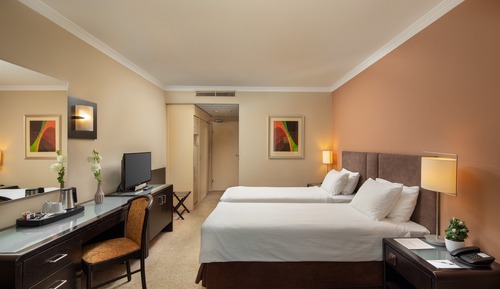 Classic Twin Room