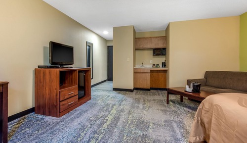 Suite, 1 King Bed with Sofa bed, Non Smoking