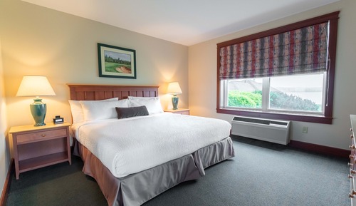 Executive Suite, 1 King Bed with Sofa bed