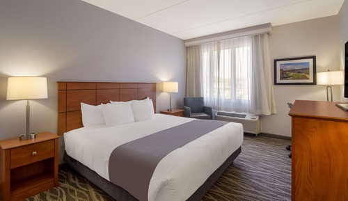 Standard Room, 1 King Bed, Non Smoking, Refrigerator & Microwave