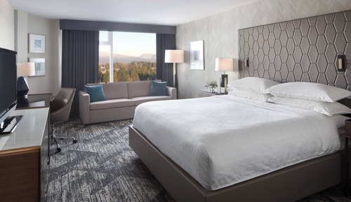 Traditional Room, 1 King Bed with Sofa bed