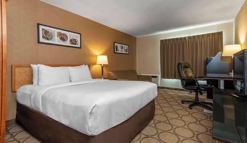 Standard Room, 1 Queen Bed, Non Smoking