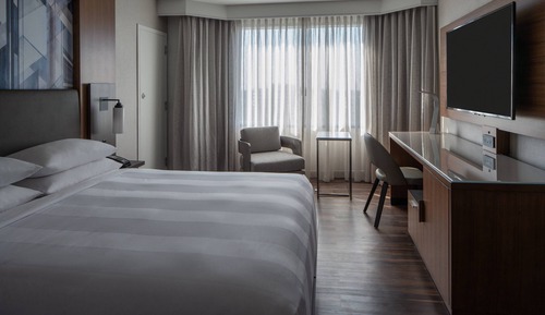Superior Room, 1 King Bed, Non Smoking (Mobility Accessible, Roll-In Shower)