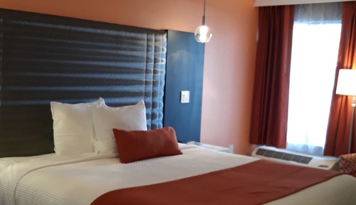 Standard Room, 1 King Bed, Pet Friendly, Non Smoking