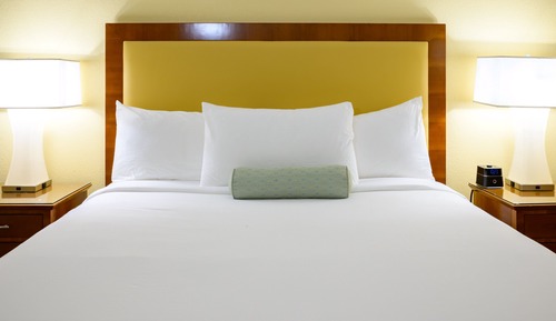 Room, 1 King Bed (Preferred)